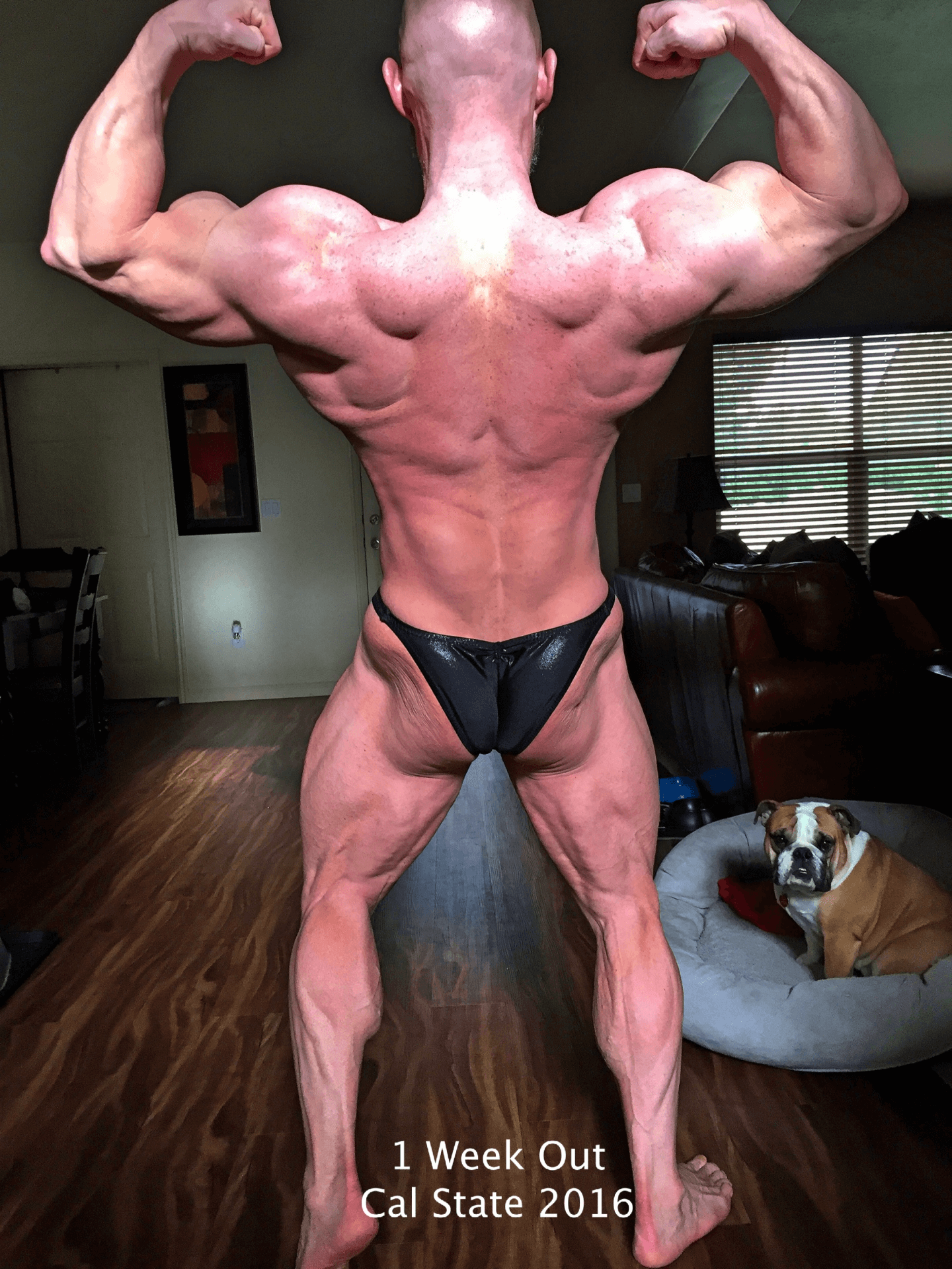 1-week-out-cal-state-2016-bodybuilding-contest-prep-back-double-biceps_result (1) Bodybuilder 1 week out from Cal State 2016 contest prep showing rear double biceps pose – muscle building over 40, hypertrophy training, and strength conditioning.